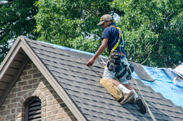 Professional Roofing Contractor in Long Beach, IN